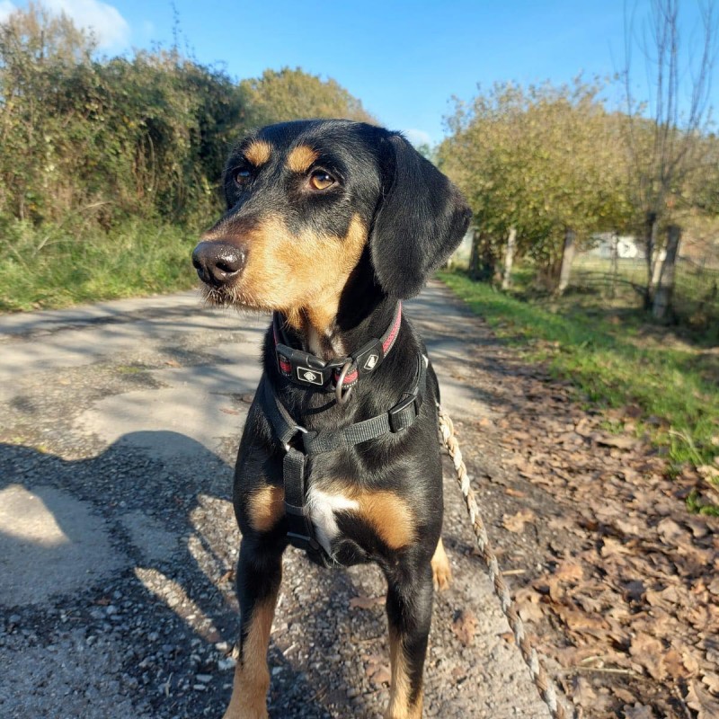 Fotos Luna