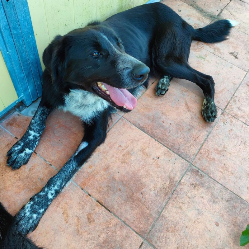 Fotos Jerry