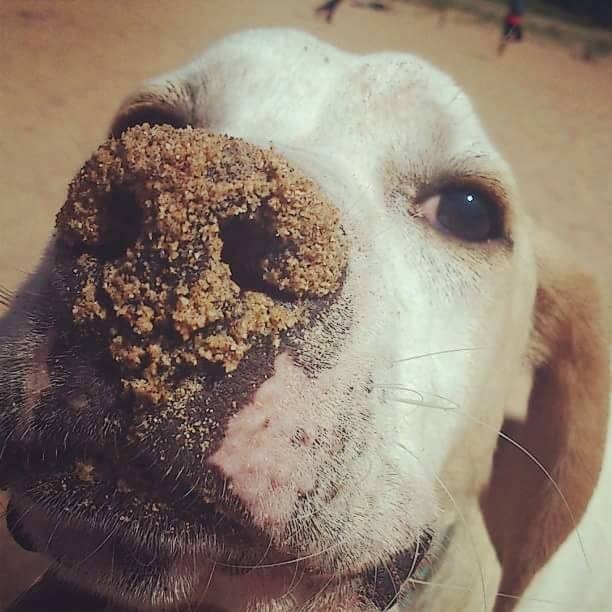 Foto Teodoro