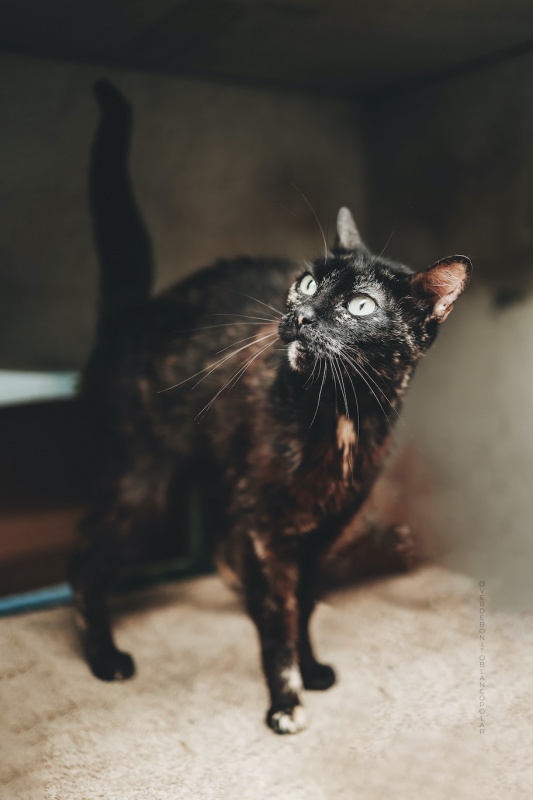 Foto Mora