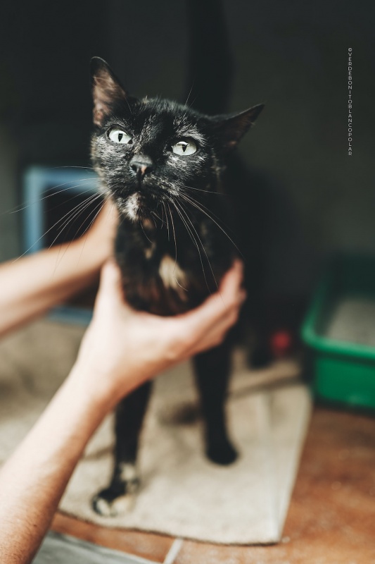 Foto Mora