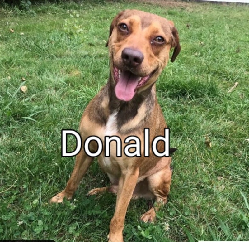 Foto Donald