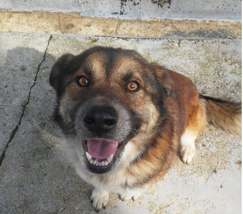 Foto RAFA