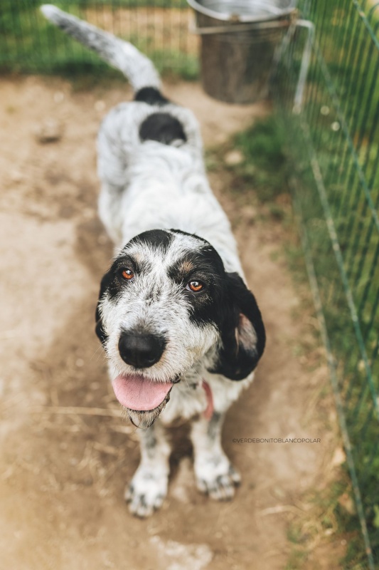 Foto Clara