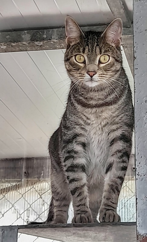 Foto Igor