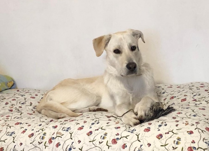 Foto Odin