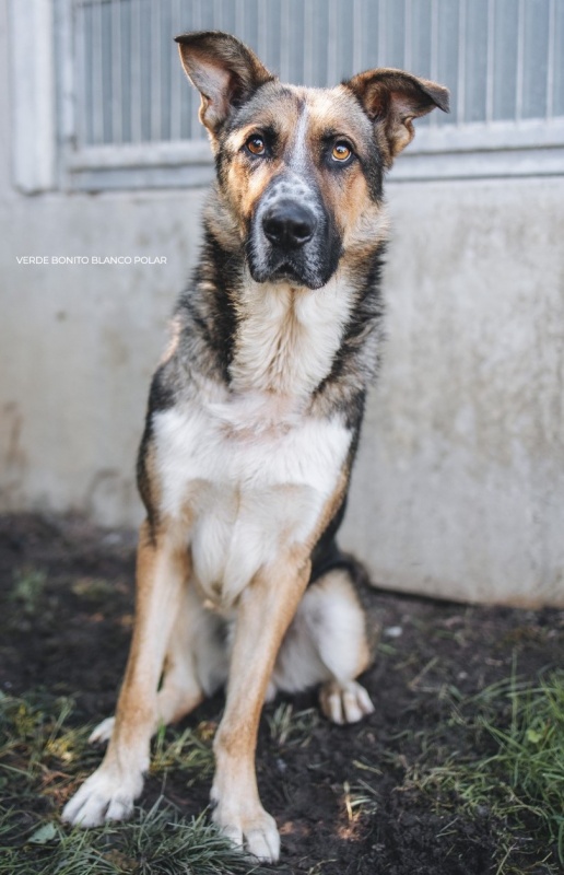 Foto Beethoven