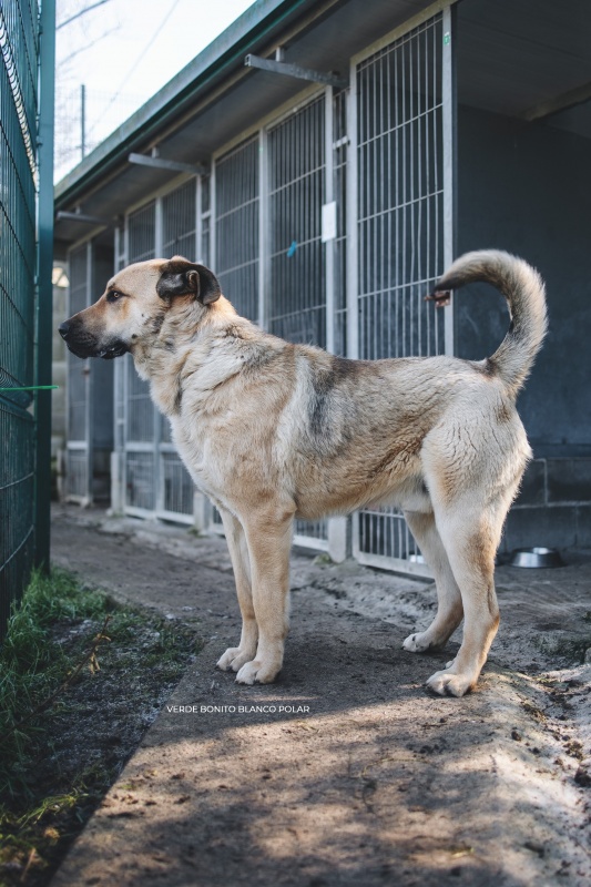 Foto Eros