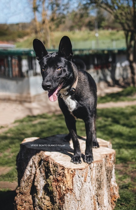 Foto MAX