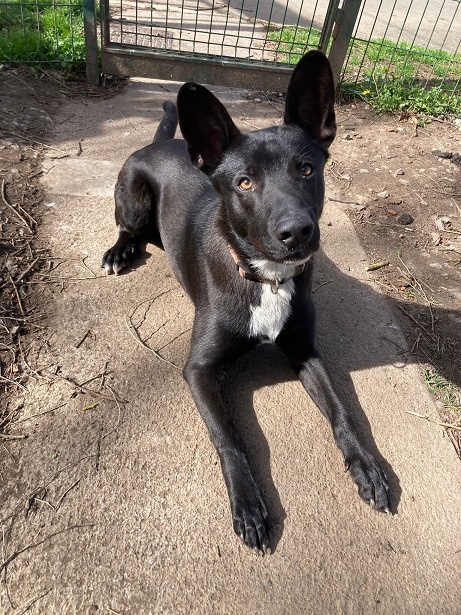 Foto MAX