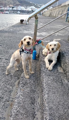 Foto NANA Y AIKA