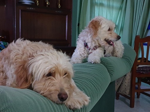 Foto NANA Y AIKA