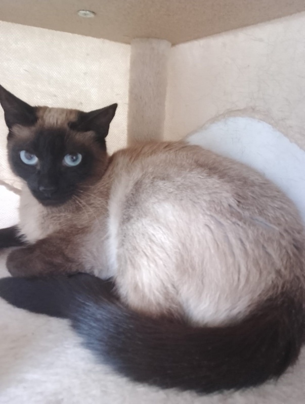 Foto NORA