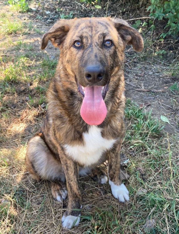 Foto KIRA