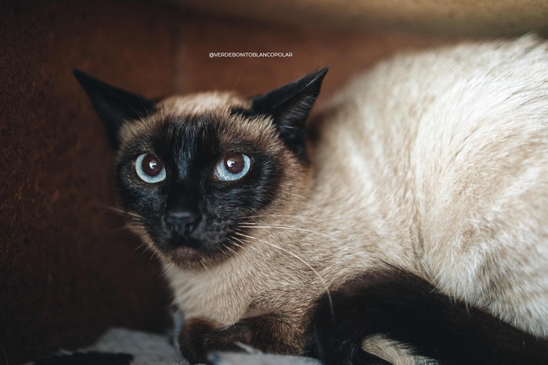 Foto NORA