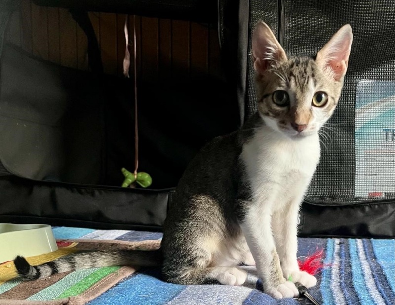 Foto Marco
