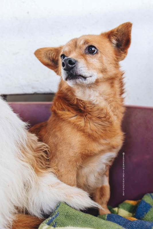 Foto TOBI