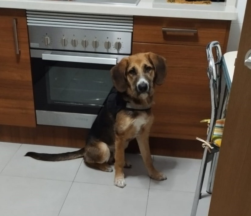 Foto Rocky
