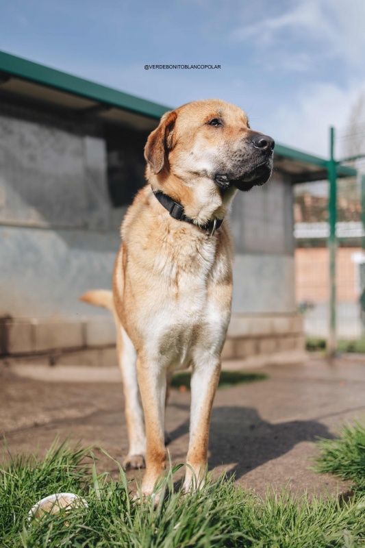 Foto LEONCIO