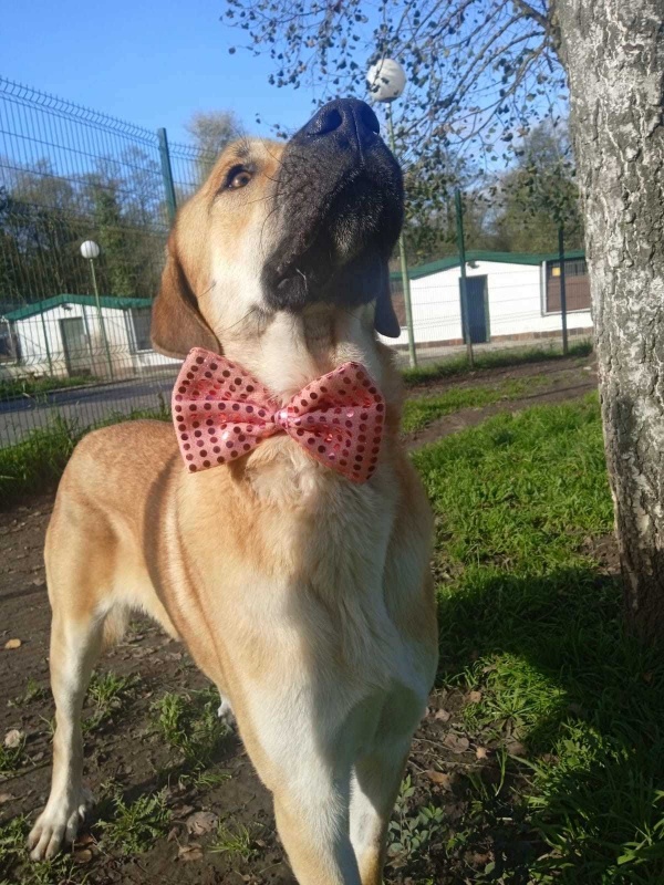Foto LEONCIO
