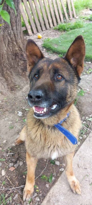 Foto URKO