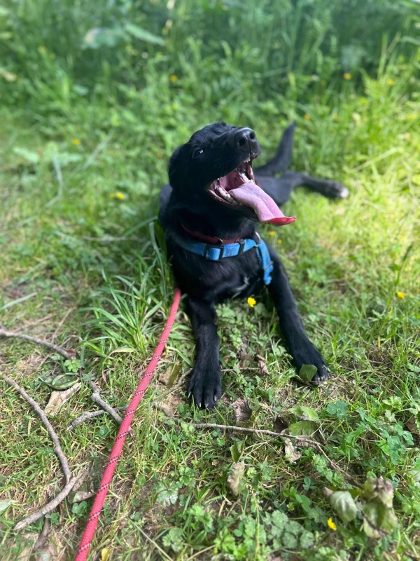 Foto NENA