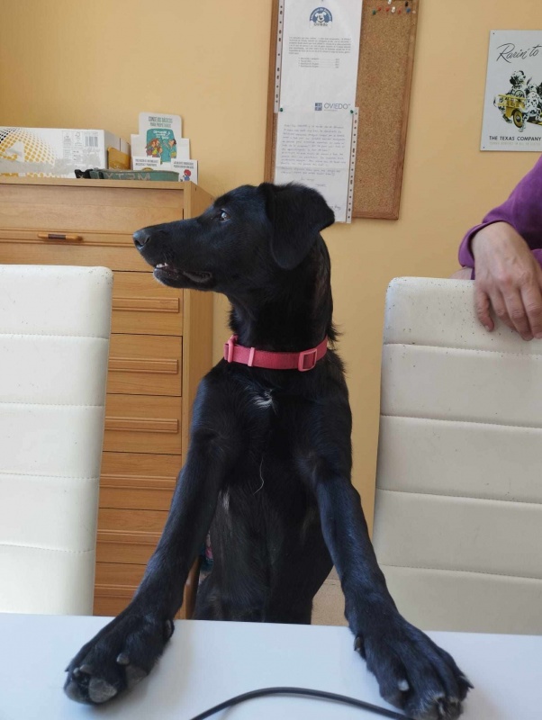 Foto NENA