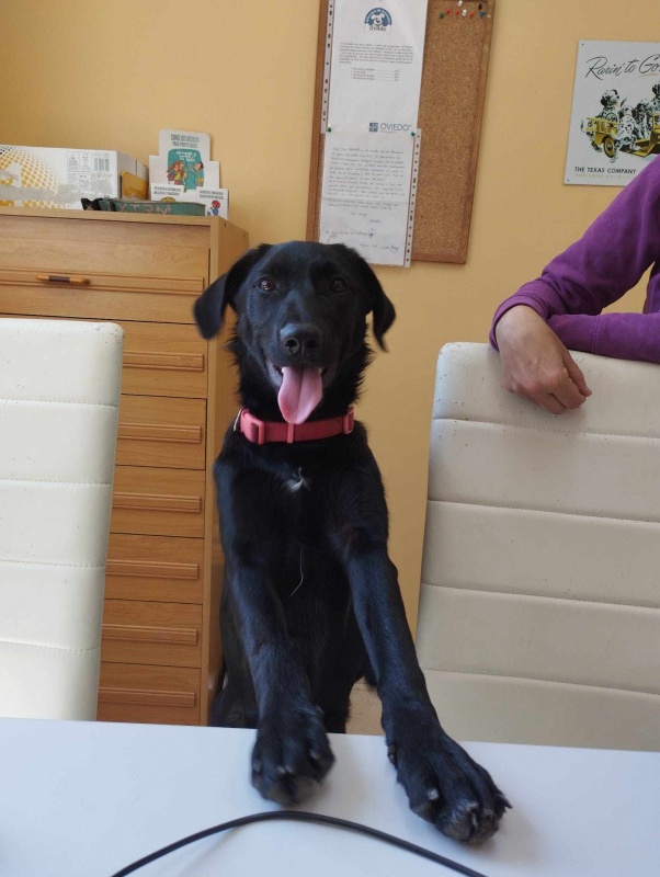 Foto NENA