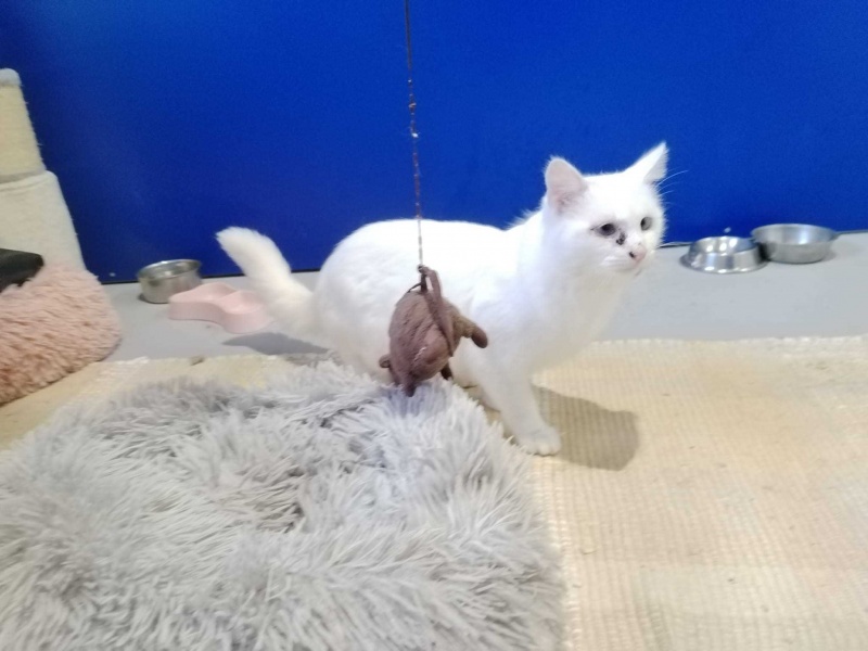 Foto Darwin