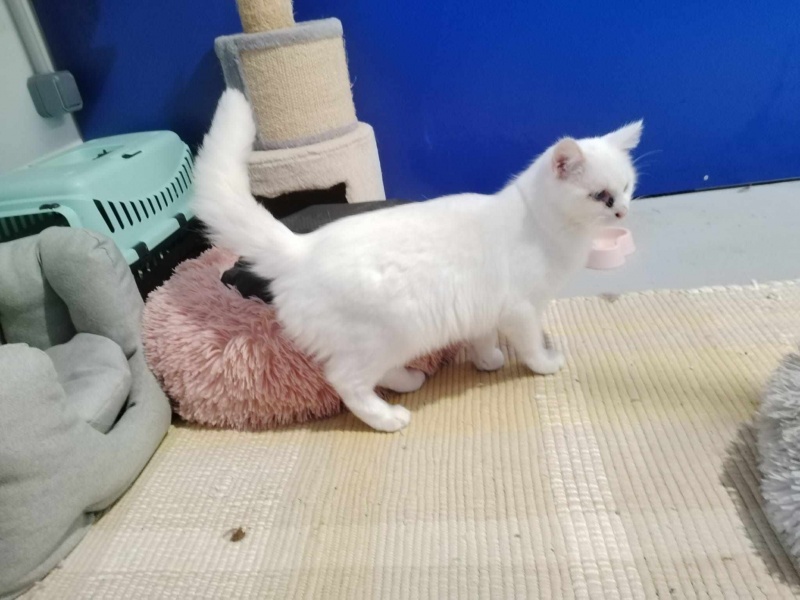 Foto Darwin