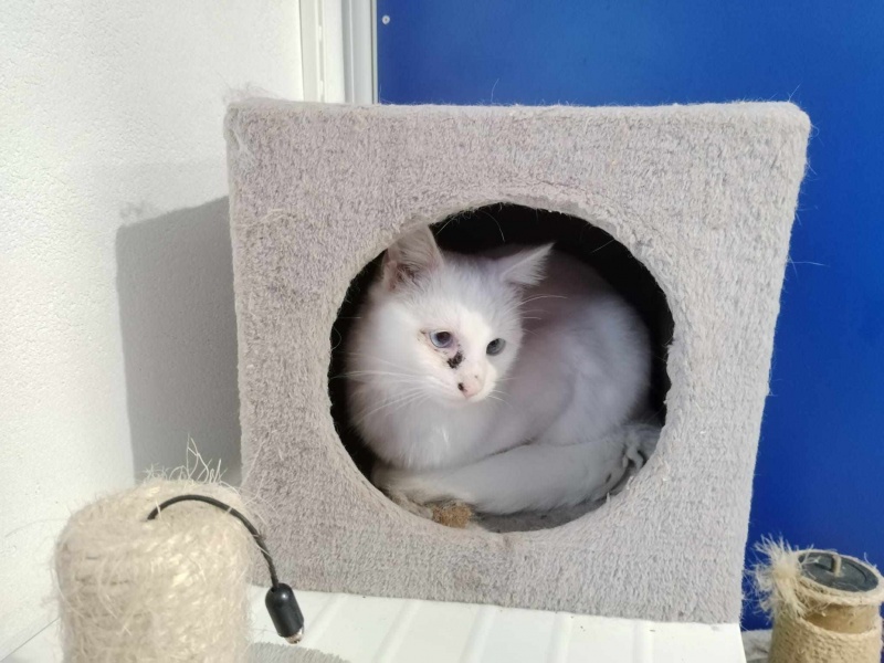 Foto Darwin