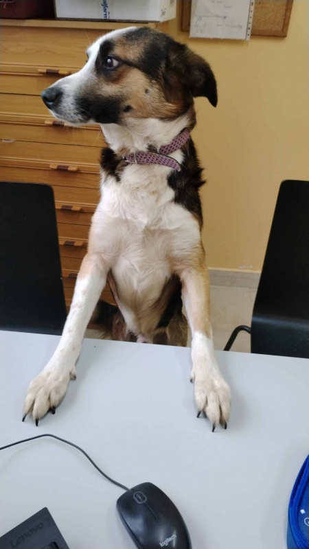 Foto Messi