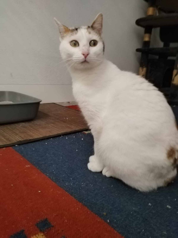 Foto Nina