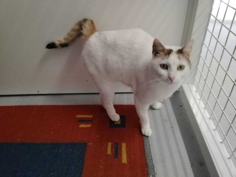 Foto Nina