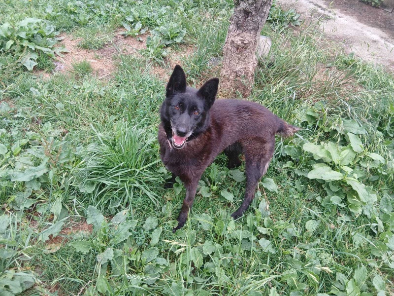 Foto Mara
