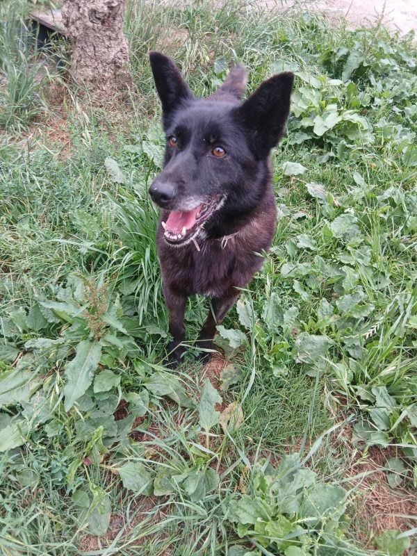 Foto Mara