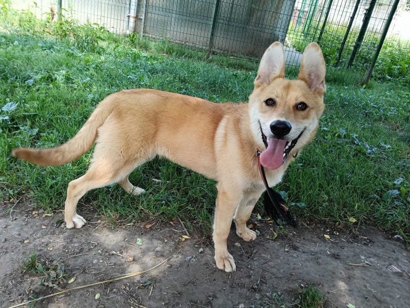 Foto Kaco
