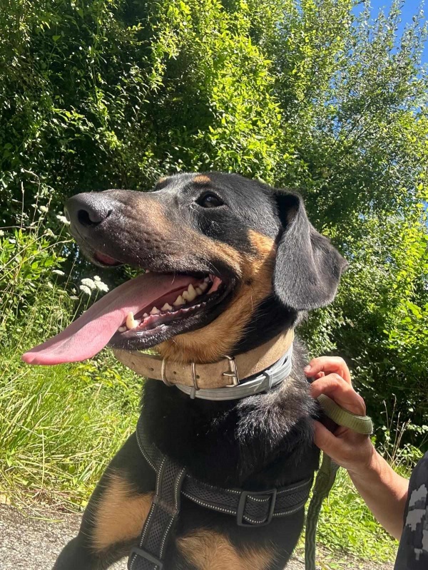 Foto Baldur