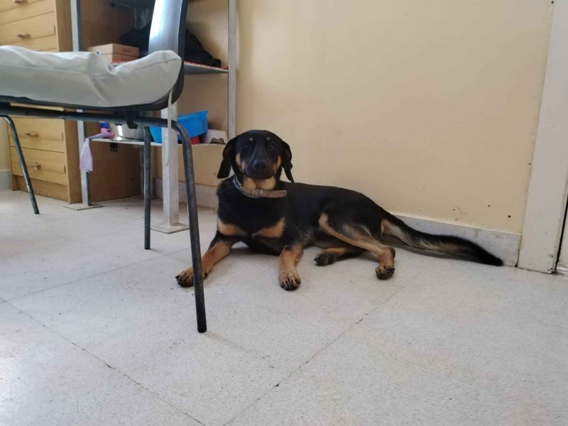 Foto Baldur