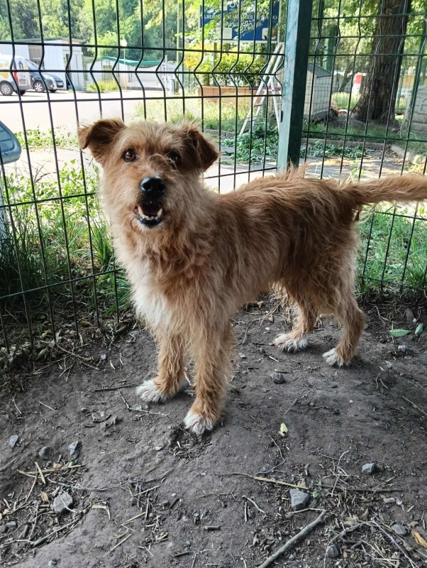 Foto COCO