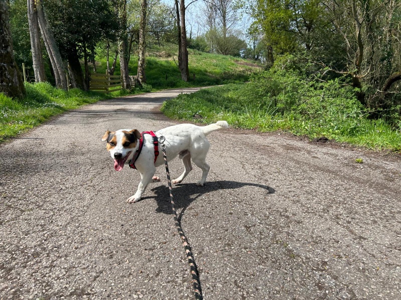 Foto Tobi