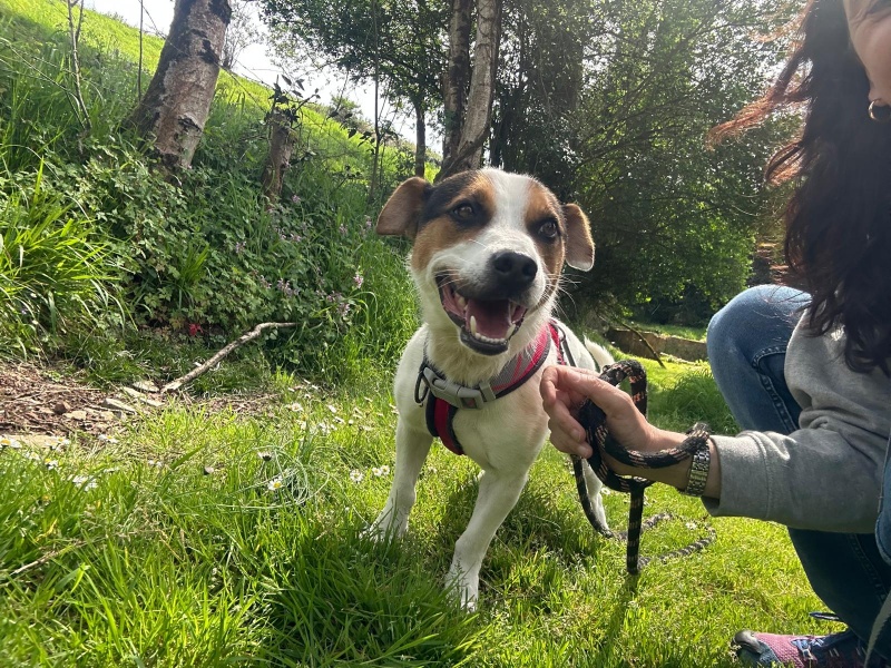 Foto Tobi
