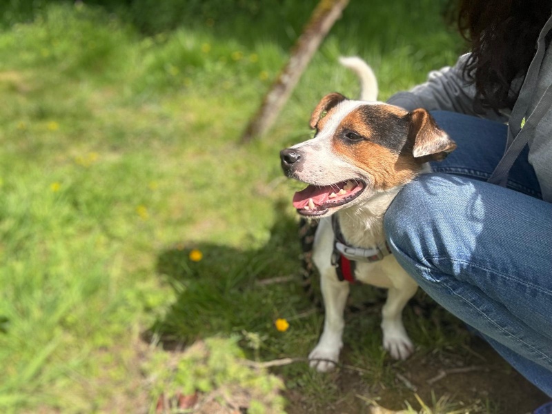 Foto Tobi