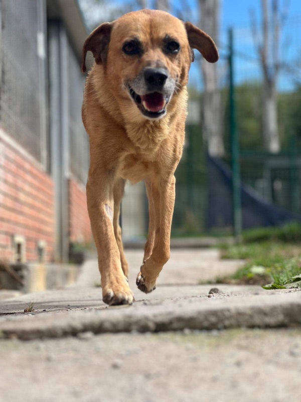 Foto TOTO