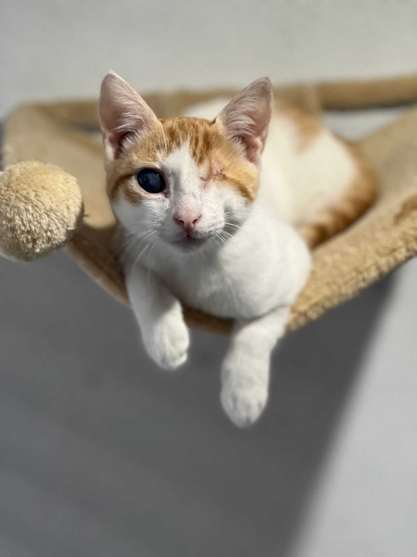 Foto Rosendo