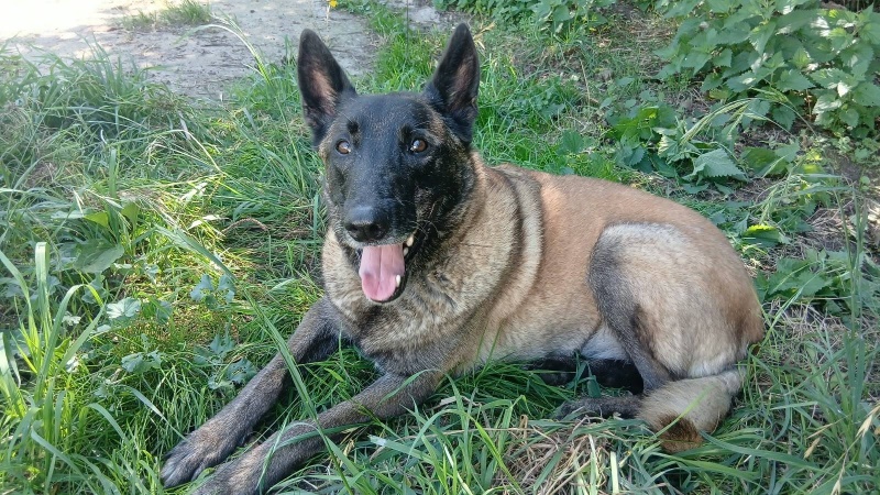 Foto Chico