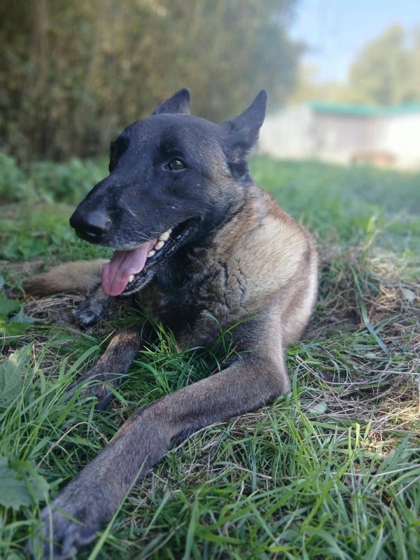 Foto Chico