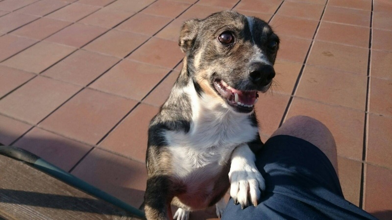 Foto Tao