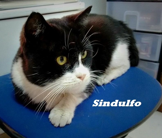 Foto Sindulfo