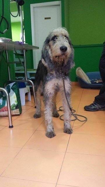 Foto Moro